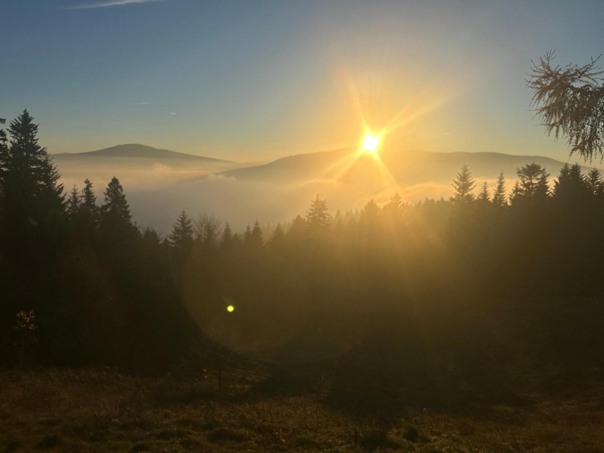 Flow Spot - Z Widokiem Na Szyndzielnie Bielsko-Biala